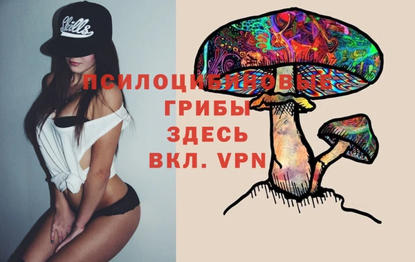 гидропоника Абдулино