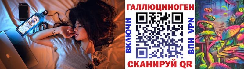 Псилоцибиновые грибы Psilocybe Приволжск